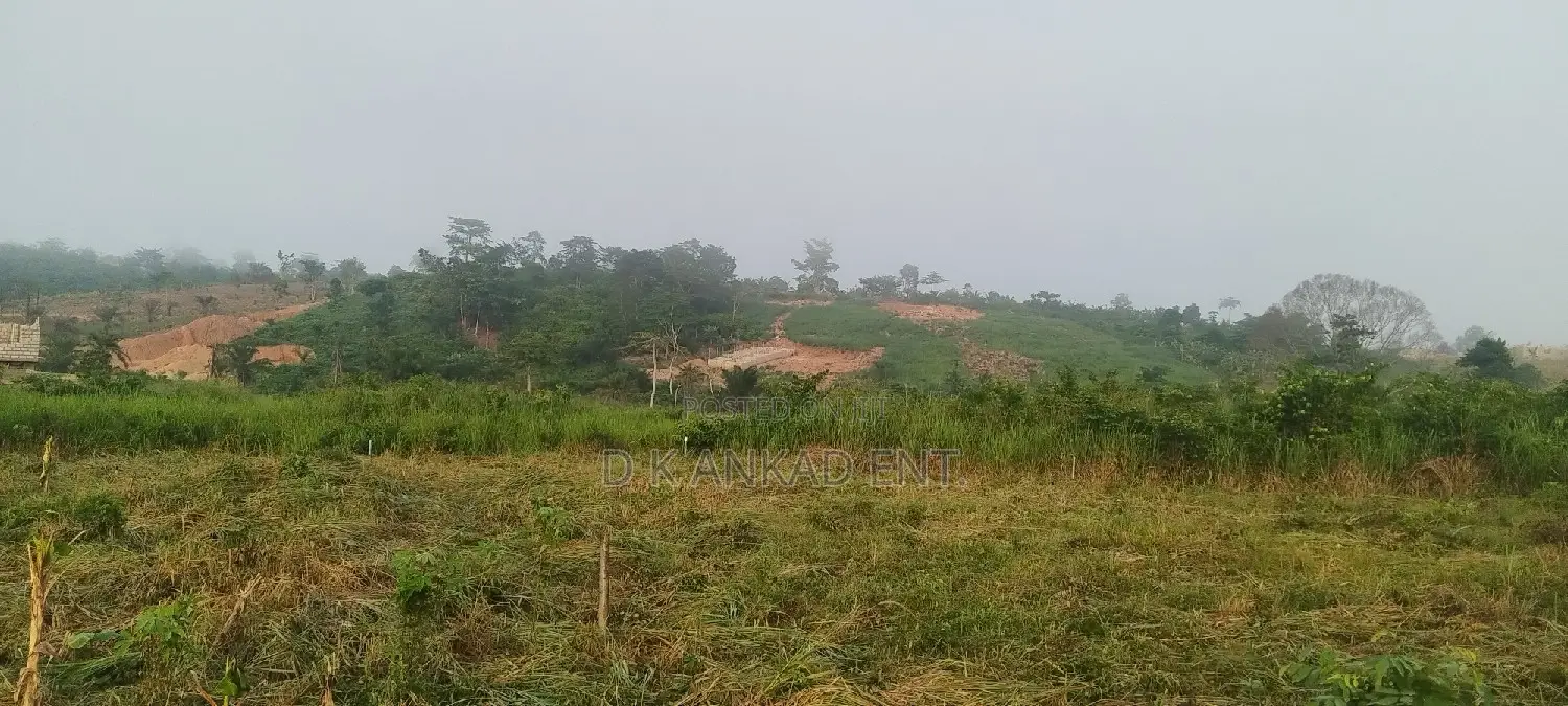 Cheap Plot of Land Forsale at Apemanim Kokobeng