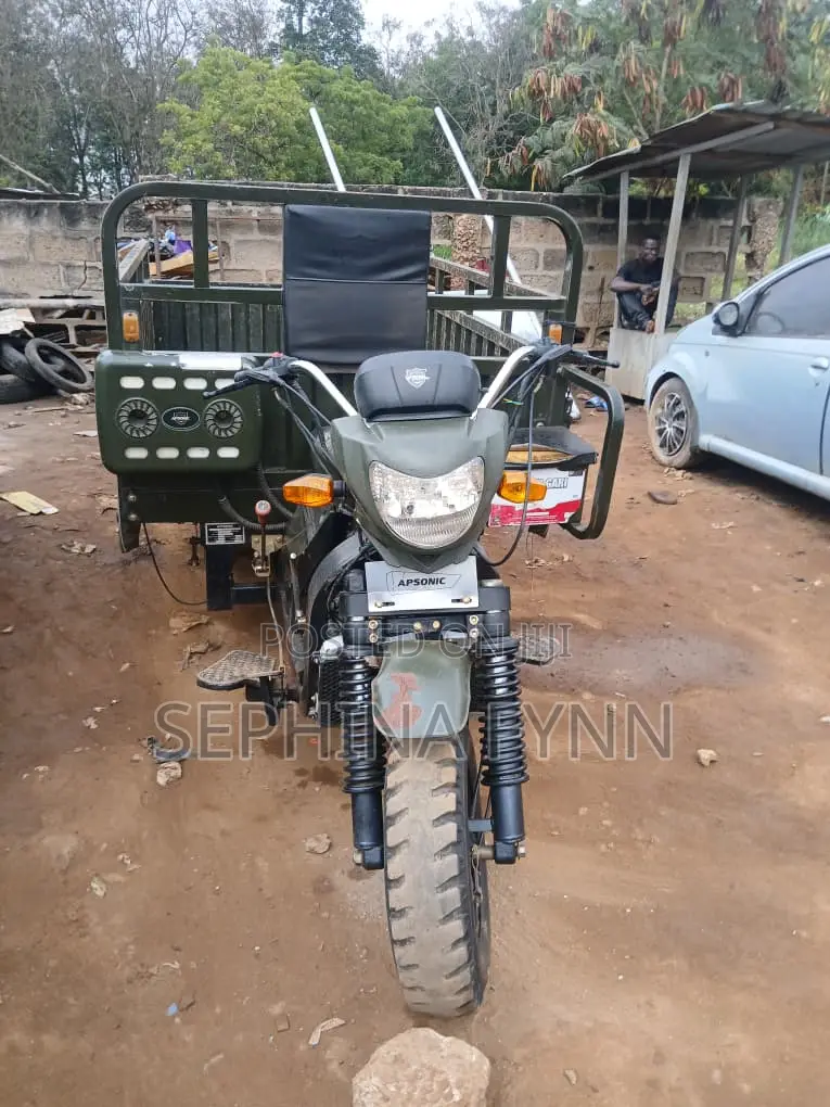 Apsonic AP150ZH-200 2024 Green