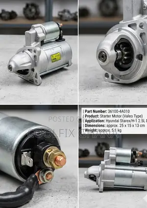 Starter Motor