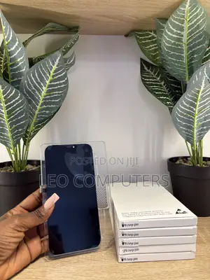 iPhone 12 Promax iCloud Screen