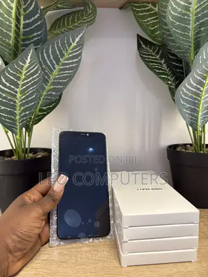 iPhone 11 Promax iCloud Screen