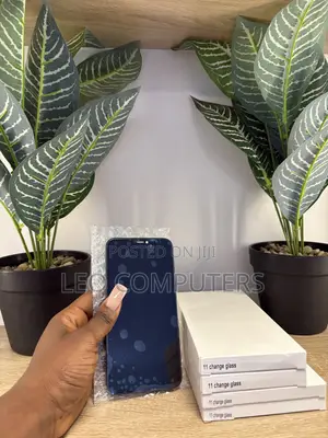 iPhone 11 iCloud Screen
