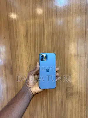 New Apple iPhone 12 Pro Max 256 GB Blue