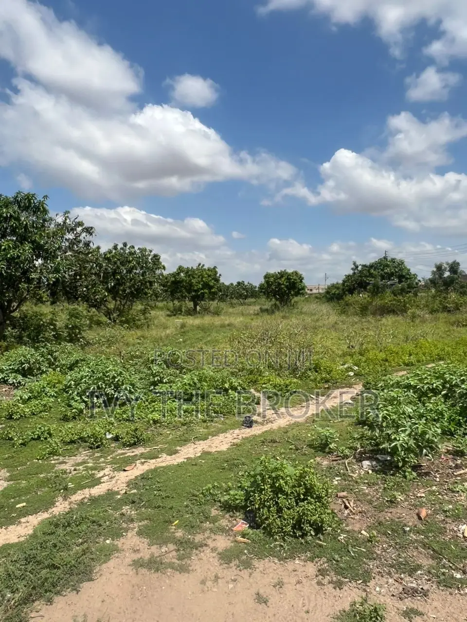 Land for Sale in Katamanso