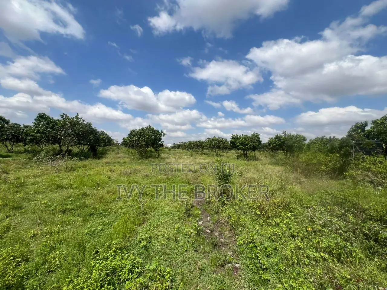 Land for Sale in Katamanso