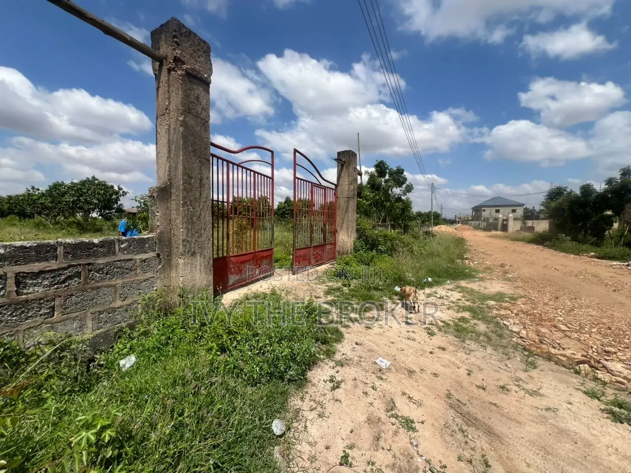 Land for Sale in Katamanso