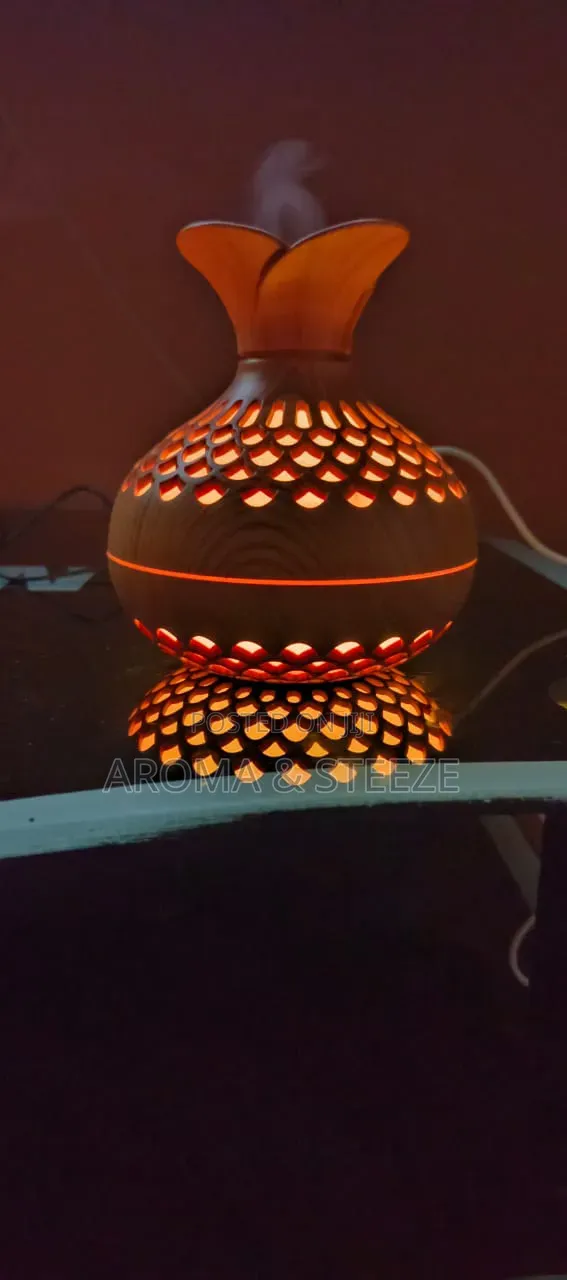 Ultrasonic Aroma Humidifier + Essential Oil