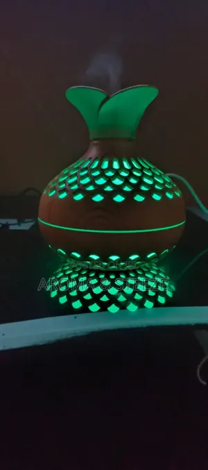 Ultrasonic Aroma Humidifier + Essential Oil