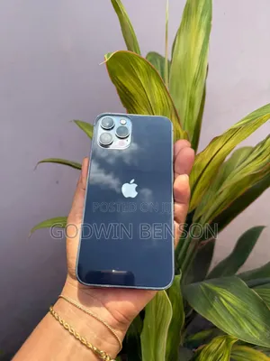 Apple iPhone 12 Pro Max 512 GB Graphite