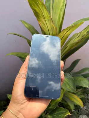 Apple iPhone 12 Pro Max 512 GB Graphite