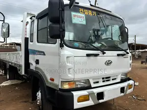 Hyundai Rhino Gold
