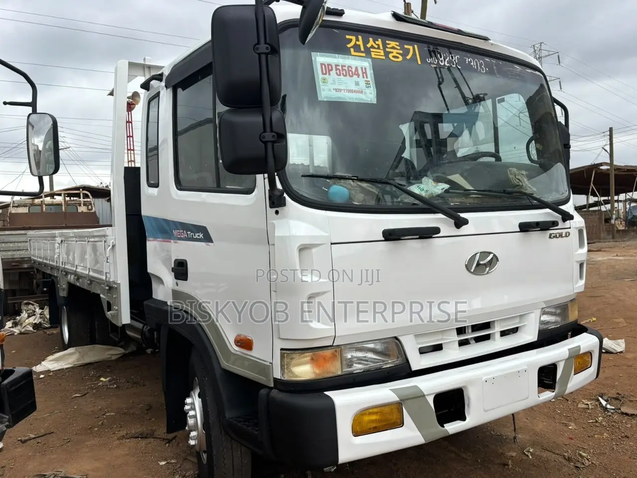 Hyundai Rhino Gold
