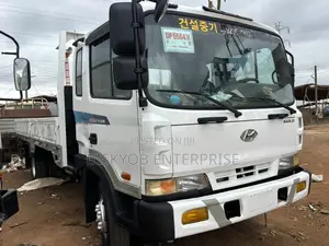 Hyundai Rhino Gold
