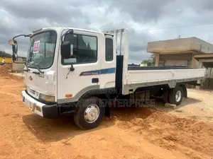 Hyundai Rhino Gold