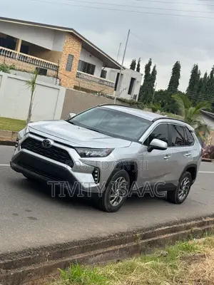 Toyota RAV4 LE AWD 2019 Silver