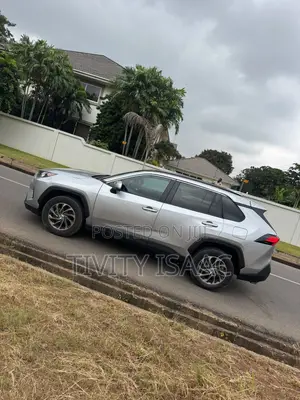 Toyota RAV4 LE AWD 2019 Silver