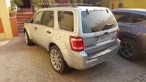 Ford Escape 2010 Silver