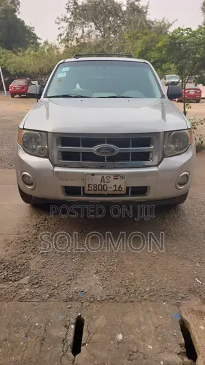 Ford Escape 2010 Silver