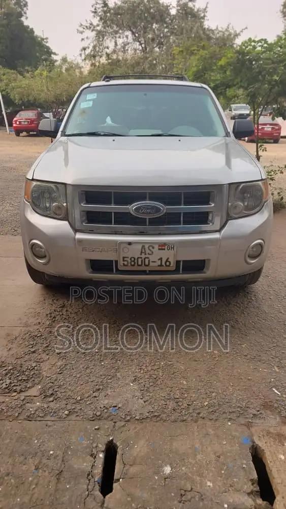 Ford Escape 2010 Silver