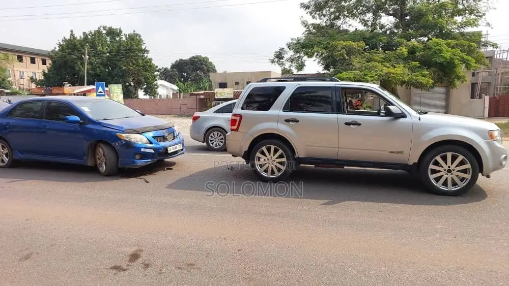 Ford Escape 2010 Silver