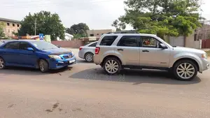 Ford Escape 2010 Silver