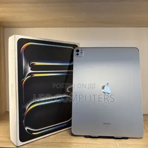Apple iPad Pro 13 (2024) 1 TB Gray