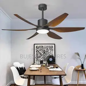 Ceiling Fan Light