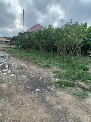 Half Plot for Sale , Size 60/80