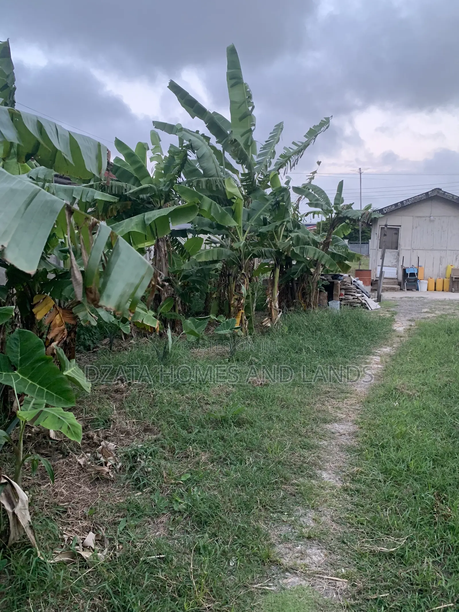 Half Plot for Sale , Size 60/80