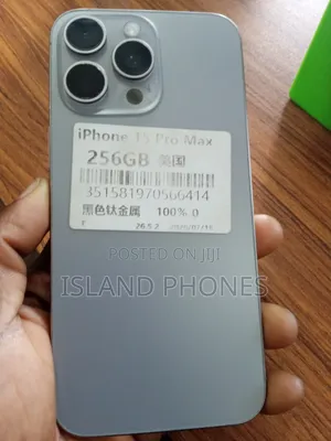 Apple iPhone 15 Pro Max 256 GB Silver