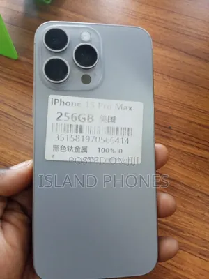 Apple iPhone 15 Pro Max 256 GB Silver
