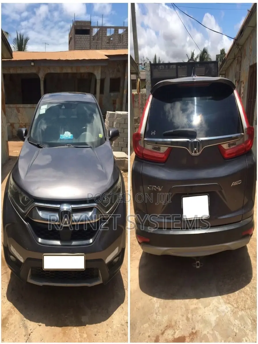 Car Rental