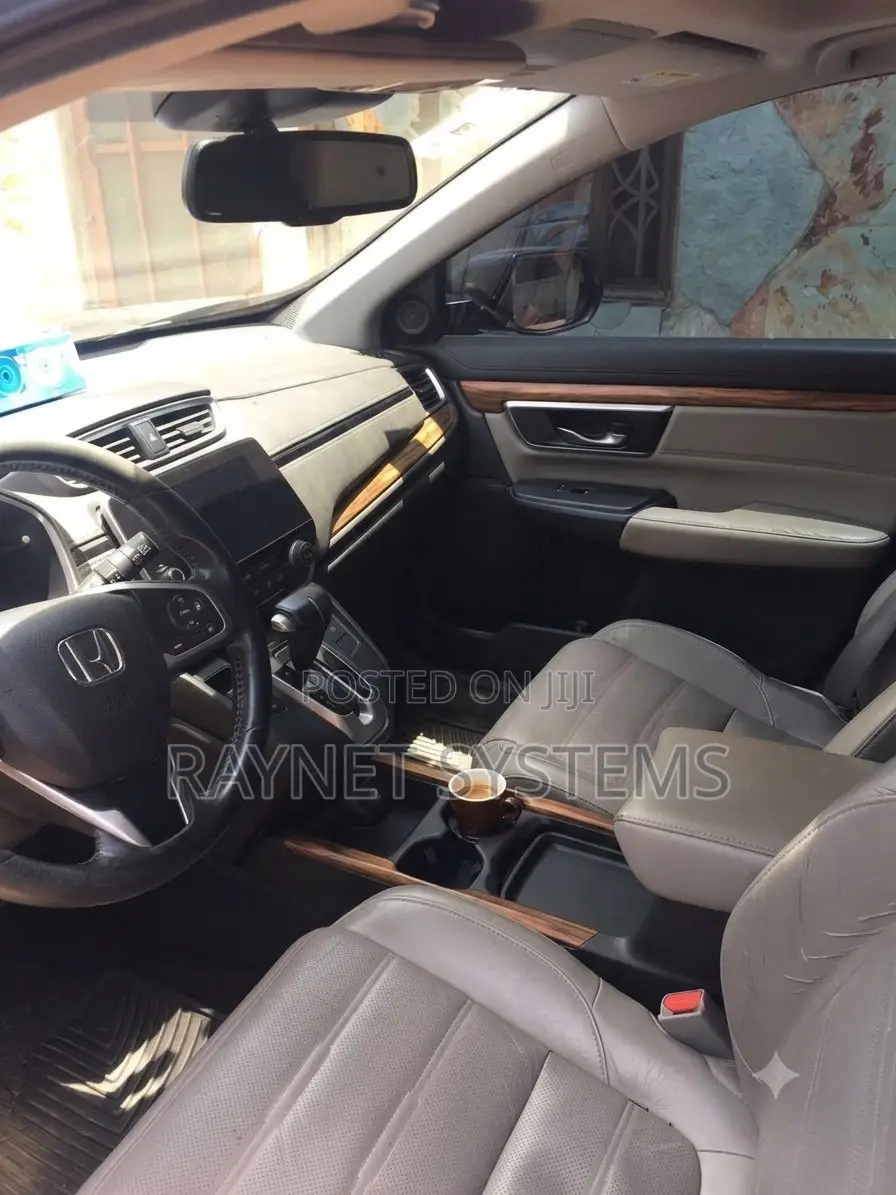Car Rental