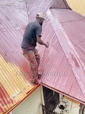 Roof Painting and Rust Treatment