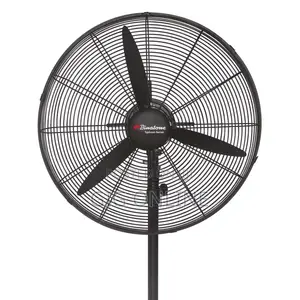 Standing Fan
