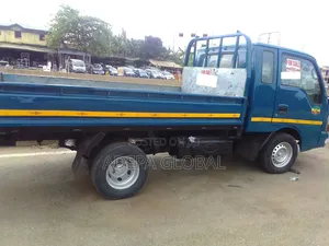 Kia Bongo 2011