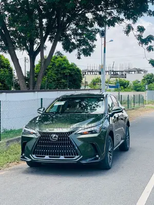Lexus NX 350 Premium AWD 2024 Green