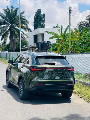Lexus NX 350 Premium AWD 2024 Green