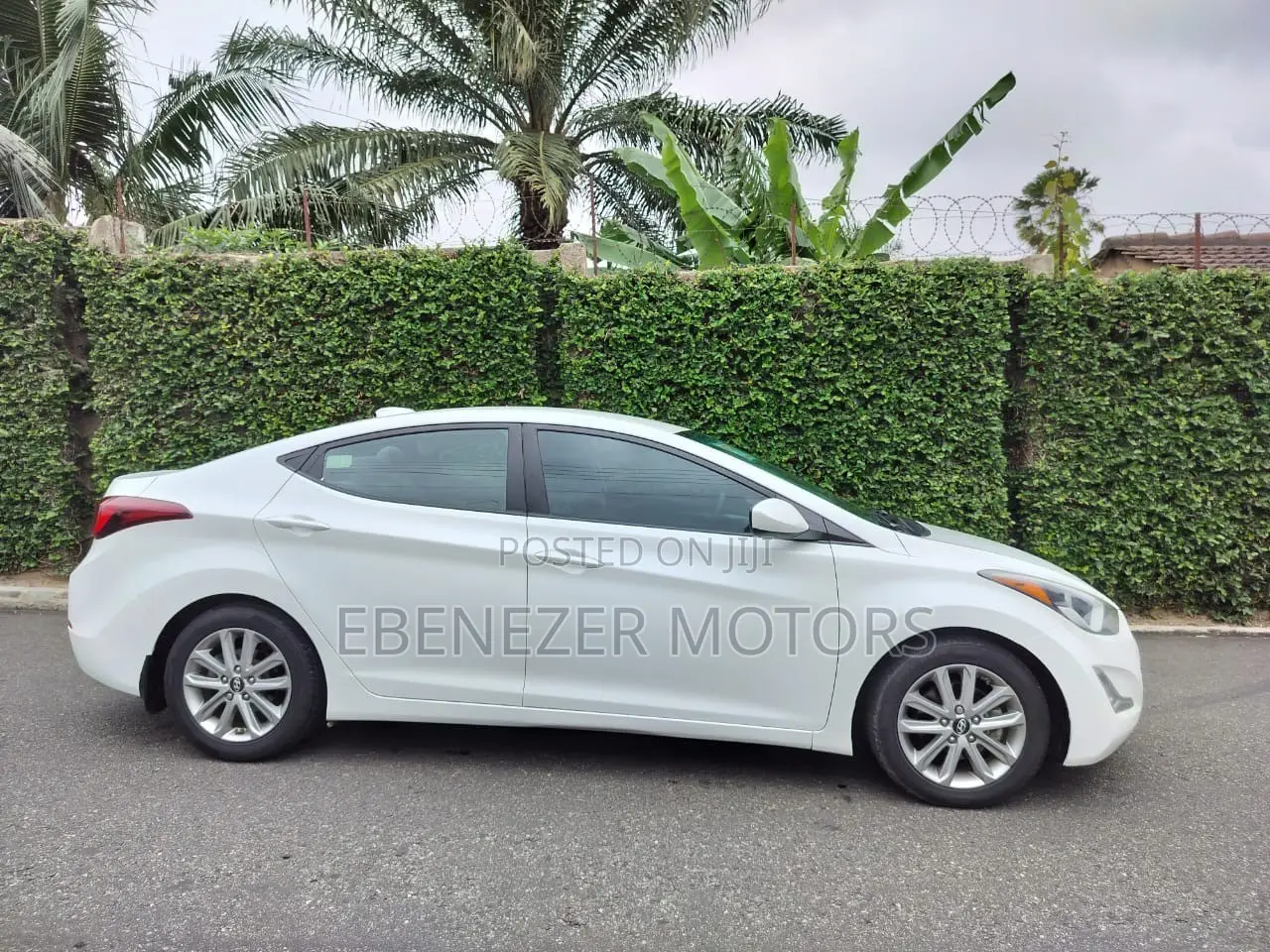 Hyundai Elantra 2016 White
