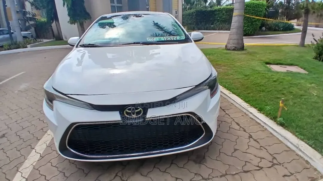 Toyota Corolla LE 2020 White