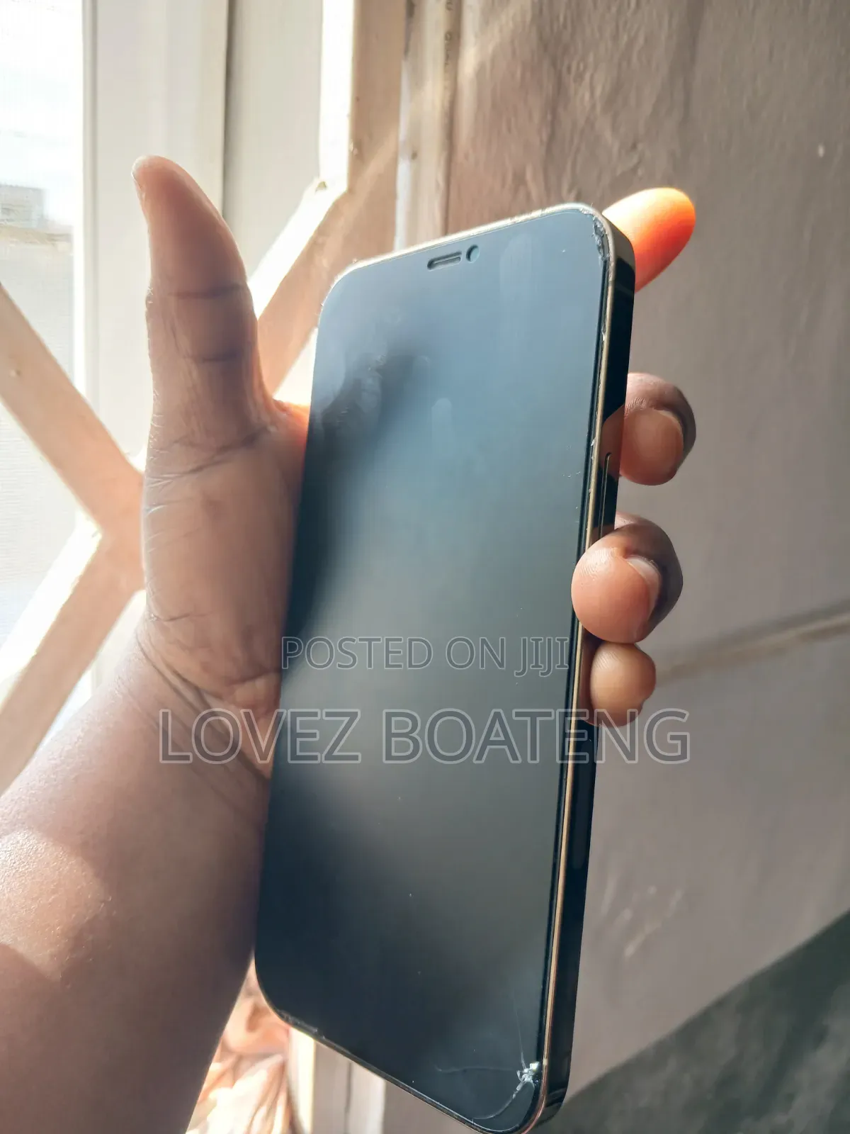 Apple iPhone 12 Pro Max 256 GB Rose Gold