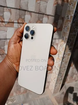 Apple iPhone 12 Pro Max 256 GB Rose Gold