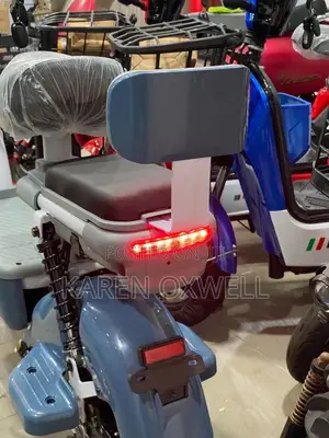 Arc Vector 2025