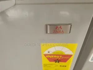470L ZARA-725 Double Door Chest Freezer | Lock Key | Fast Freeze