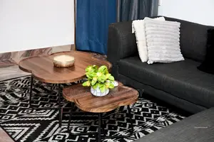 Furnished 1bdrm Apartment in Joseph Lamptey, Coffee Shop Area for rent