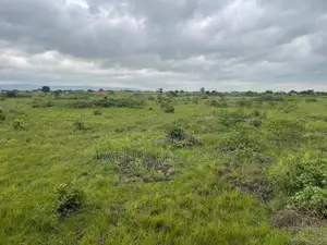 Invest in the Tema-Akosombo Expansion Axis
