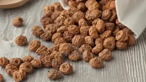 Dried Tiger Nuts