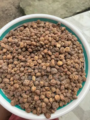 Dried Tiger Nuts
