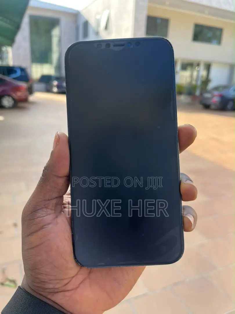 Apple iPhone 12 Pro Max 128 GB Gray