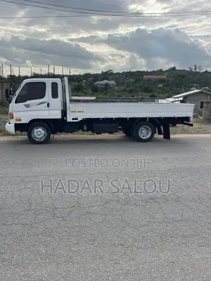 Hyundai E Mighty 2